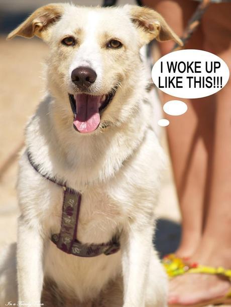 OUTFIT I WOKE UP LIKE THIS