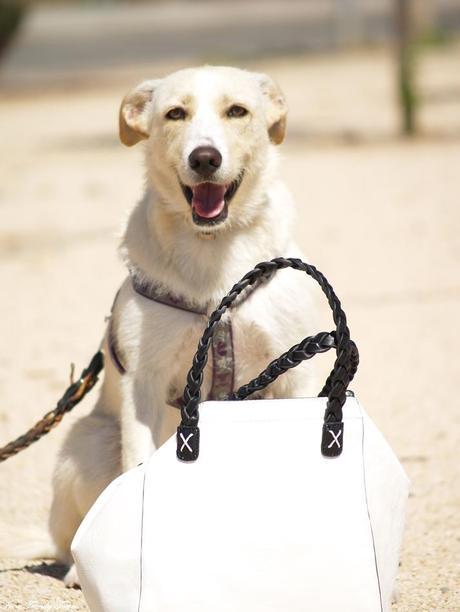 Outfit: I woke up like this OUTFIT I WOKE UP LIKE THIS