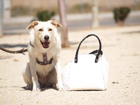 Outfit: I woke up like this OUTFIT I WOKE UP LIKE THIS