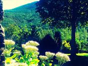 esperadas vacaciones