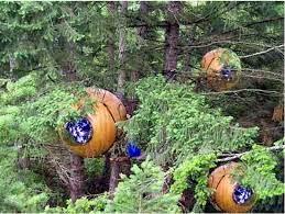 Hotel THE FREE SPIRITS SPHERES, VANCOUVER ISLAND (Cánada)