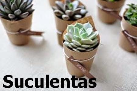SUCULENTAS