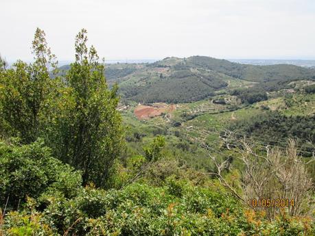 La Sentiu - Bruguers - Begues - Sant Climent - Gavá.  10/05/2014