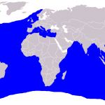 ¿Dónde lo podemos encontrar?