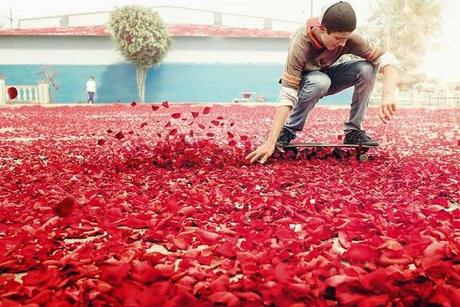 Sony arroja 8 millones de petalos en Costa Rica.