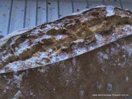 PAN DE ACEITE DE OLIVA CON MASA MADRE