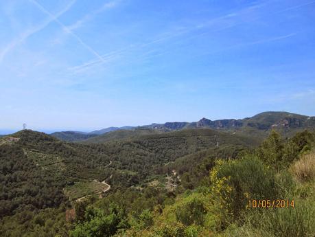 La Sentiu - Bruguers - Begues - Sant Climent - Gavá.  10/05/2014