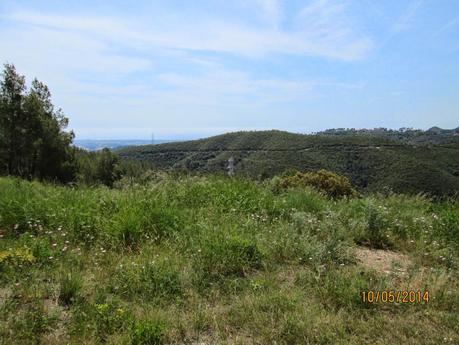 La Sentiu - Bruguers - Begues - Sant Climent - Gavá.  10/05/2014