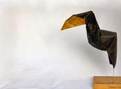 pájaros ceniza