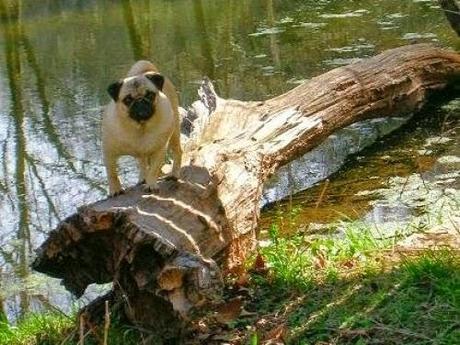 Conlafamily.com: actividades de ocio para toda la familia