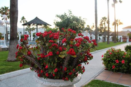 El Hotel de la semana: Playa de la Luz en Rota