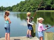 Jugar peces para aprender inglés