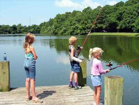 niños jugando con peces en inglés