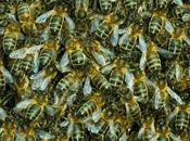 Curso ética periodística: "Los titulares línea editorial periódicos"