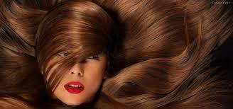 farmaceuticainmavinue