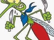 molestes mosquito