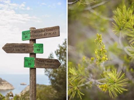 ¡La boda de los Señores Limón nos espera!