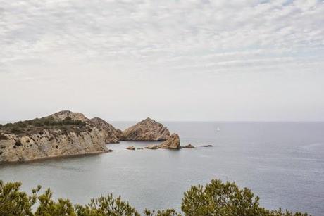 ¡La boda de los Señores Limón nos espera!