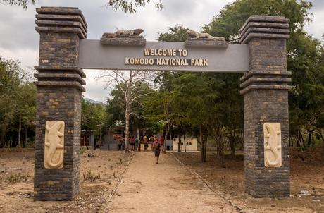 Los únicos dragones que vimos en la isla de Komodo