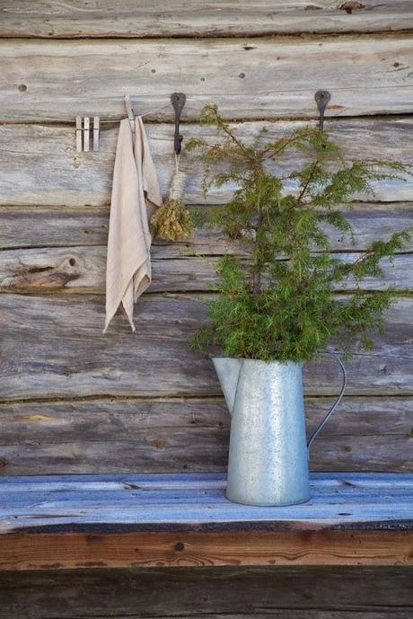 Detalles Rusticos /  Rustic Details