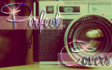 Perfect Covers #III:  Newsoul - Jodi Meadows