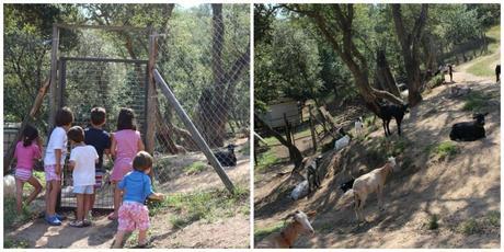casa rural para ir con niños