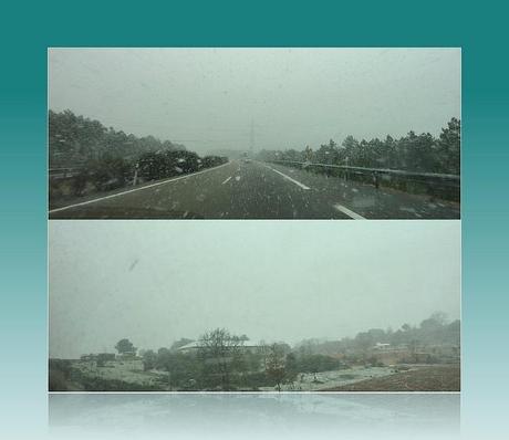 easter news //// noticias de pascua //// easter news //// noticias de pascua ////