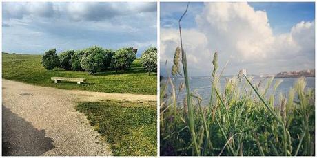 Lately //// Últimamente Lately //// Últimamente