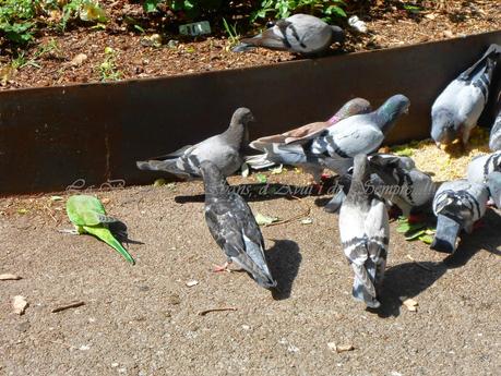 MONUMENTO A FRANCESC LAIRET I FOIX,1880-1920, BARCELONA...18-07-2014...!!!