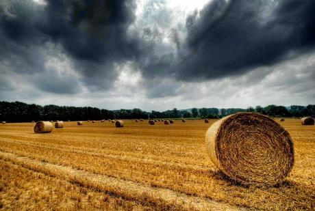 Lemgo, Westfalia, Alemania