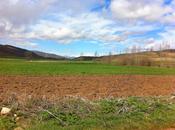 Todo distinto, menos pensamiento.