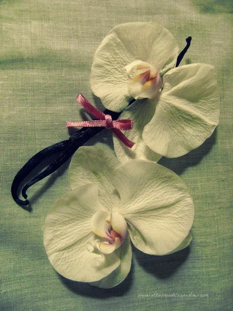 Helado Sándwich de Nata y Fideos de Chocolate