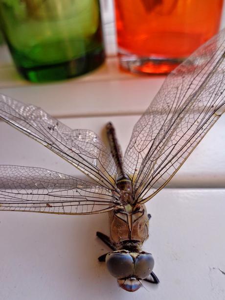 UNA OBRA DE INGENIERÍA...