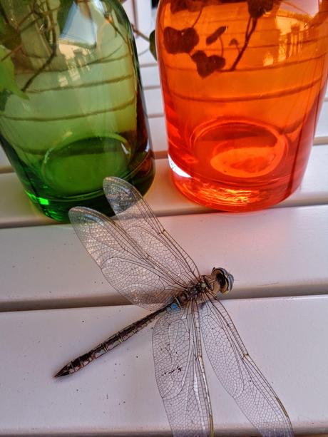 UNA OBRA DE INGENIERÍA...