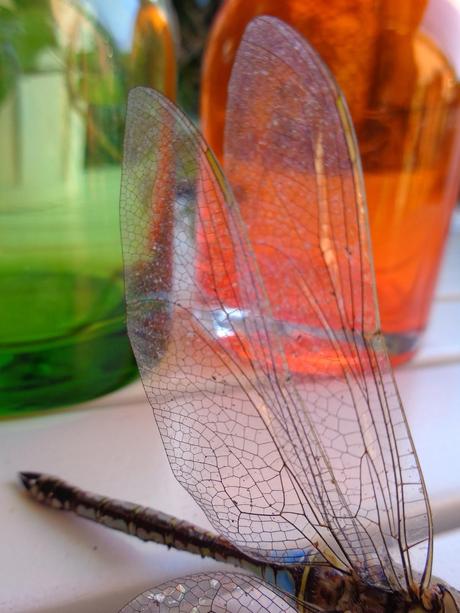 UNA OBRA DE INGENIERÍA...