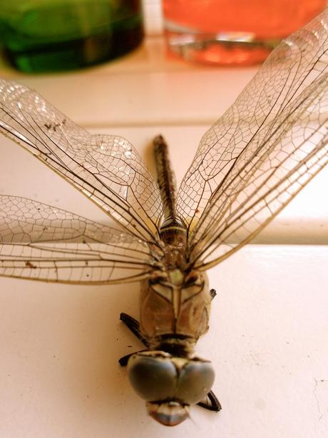 UNA OBRA DE INGENIERÍA...