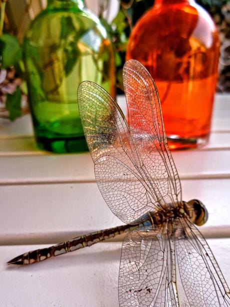 UNA OBRA DE INGENIERÍA...