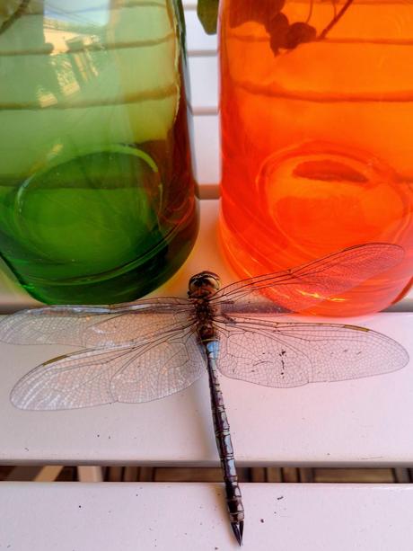 UNA OBRA DE INGENIERÍA...