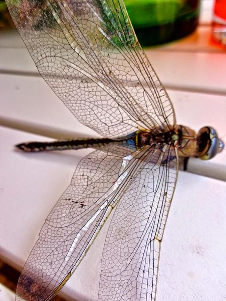 UNA OBRA DE INGENIERÍA...