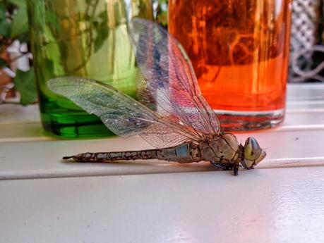 UNA OBRA DE INGENIERÍA...