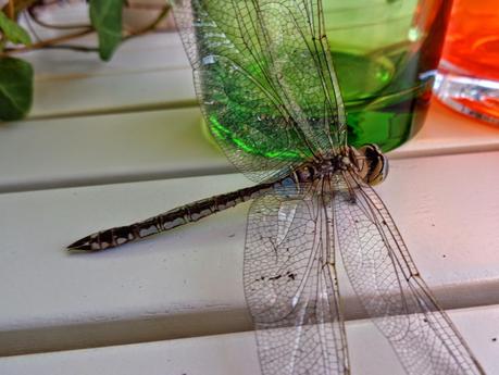 UNA OBRA DE INGENIERÍA...