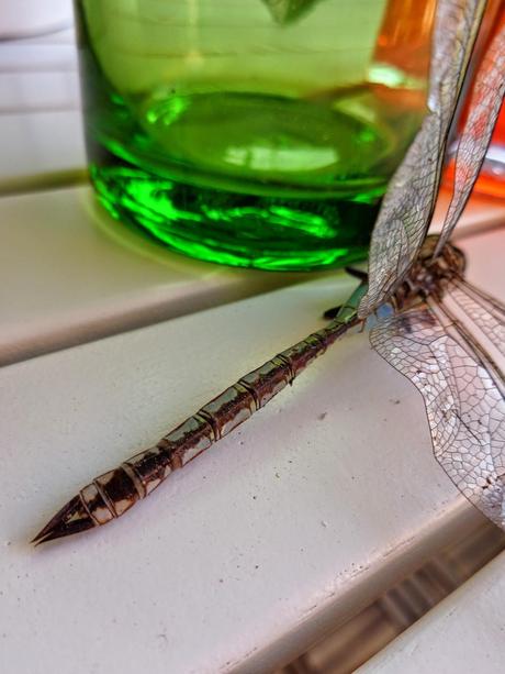 UNA OBRA DE INGENIERÍA...