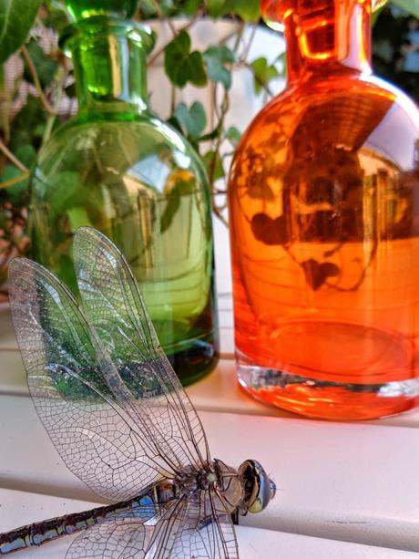 UNA OBRA DE INGENIERÍA...