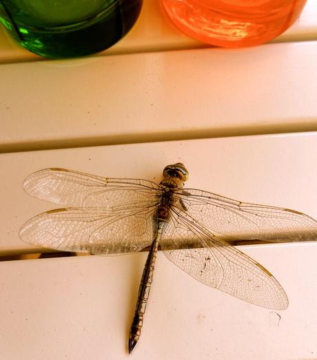 UNA OBRA DE INGENIERÍA...