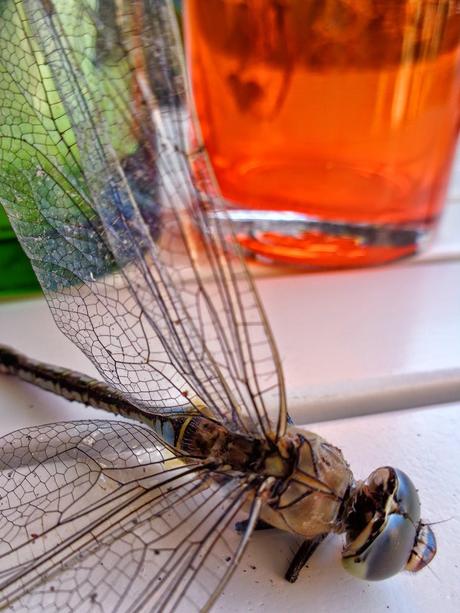 UNA OBRA DE INGENIERÍA...