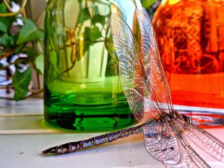 UNA OBRA DE INGENIERÍA...