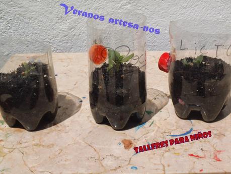 Taller de Tradiciones manchegas: el melon en La Mancha