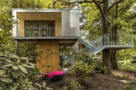 Casas Minimalistas en los Arboles