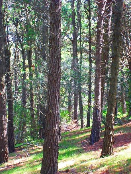 Una de cal, varias de arena