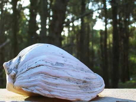 Una de cal, varias de arena